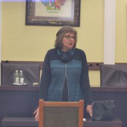 Maloletnici kao učinioci krivičnih dela i maloletna lica oštećena krivičnim delom 5