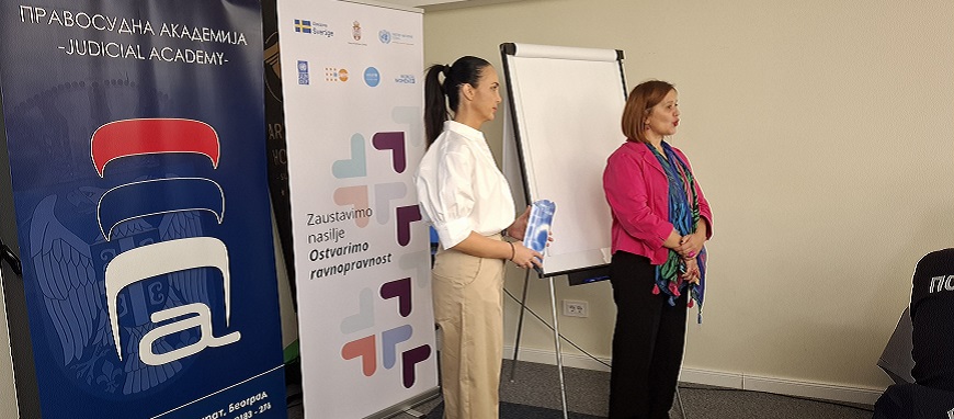 Training "Safety is not a choice: risk assessment and the role of institutions in preventing violence"