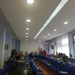 Alternativne sankcije-4