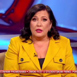 У емисији “Тачно тако“ - о питањима референдума и променама Устава Србије говоре гости Милица Ђурђевић и Ненад Вујић-7