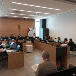 Поступак јавних набавки - Извршење уговора о јавним набавкама, посебни поступци јавних набавки и мониторинг над применом прописа о јавним набавкама 1
