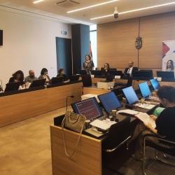 Поступак јавних набавки - Извршење уговора о јавним набавкама, посебни поступци јавних набавки и мониторинг над применом прописа о јавним набавкама 3