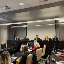 Predstavljanje priručnika „Postupanje u slučajevima femicida“ 1