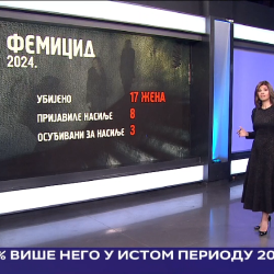 Пријави полицији - статистика 1
