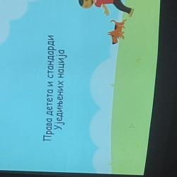 Strengthening the capacity of experts for children's rights in civil court proceedings 4