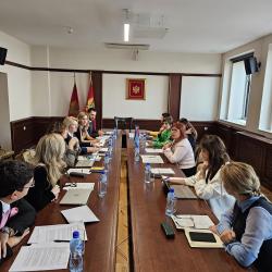 Permanent lecturer of the Judicial Academy, Ljubica Milutinović, participated in a round table in the Supreme Court of Montenegro - picture 1