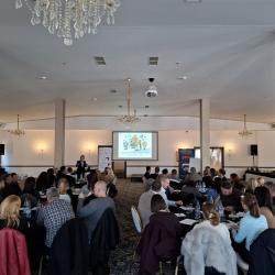 Bezbednost nije izbor: Procena rizika i uloga institucija u sprečavanju nasilja - Pančevo, slika 1 Bezbednost nije izbor: Procena rizika i uloga institucija u sprečavanju nasilja - Pančevo, slika 1