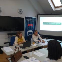 Primena Zakona o parničnom postupku – izrada odluke 1