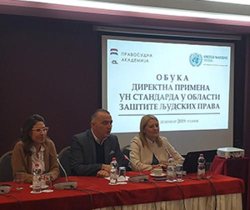 Direktna primena standarda UN u oblasti zaštite ljudskih prava