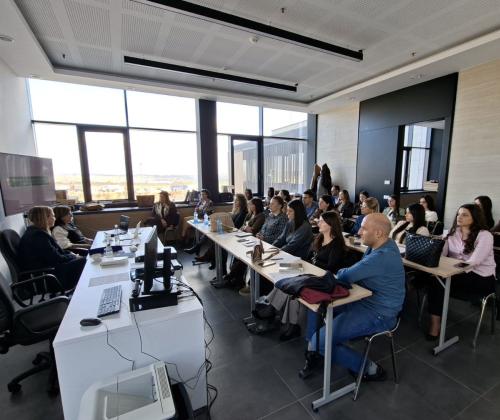 Application of the Law on Civil Procedure - making a decision